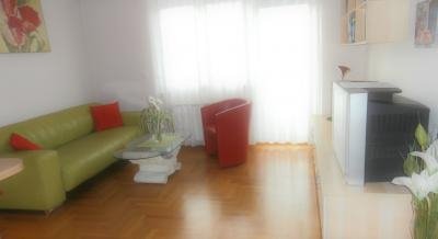 Apartman DENA- lijepo uređen i opremljen,na odličnoj lokaciji, privatni smeštaj u mestu Zagreb, Hrvatska